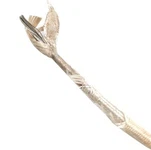 অগ্নি প্রতিরোধের তার