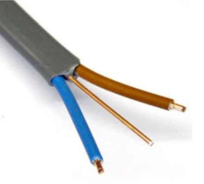 টুইন এবং আর্থ ফ্ল্যাট কেবল