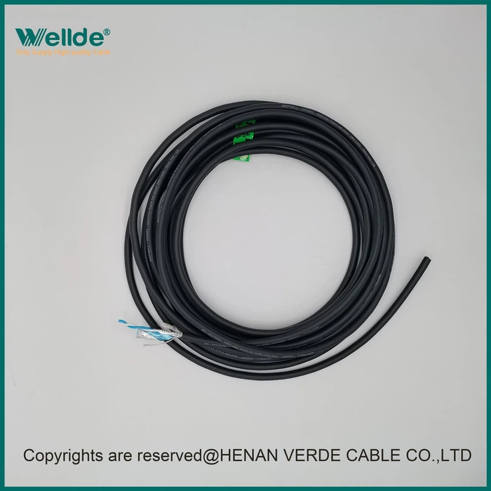 IMG20240327143113 1 IMG20240327143113 1