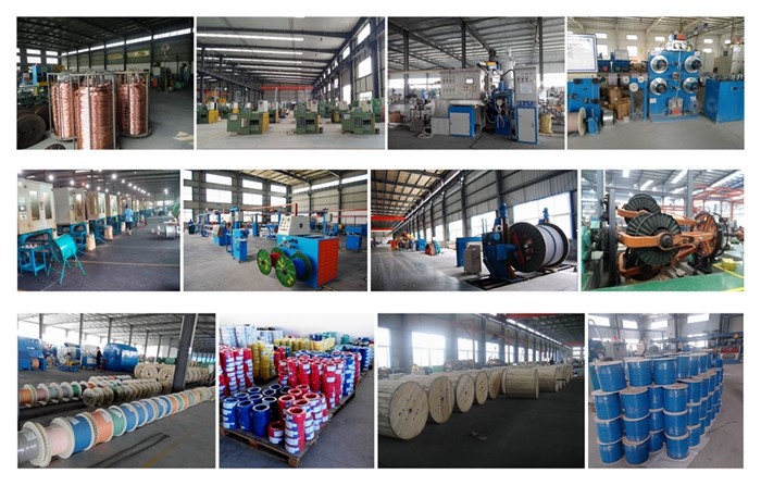 product-700-447